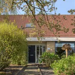 Huur 5 slaapkamer huis van 179 m² in Ysbrechtum