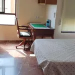 Rent a room in almeria