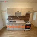 Rent 3 bedroom apartment of 60 m² in Ostrava