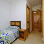 Alquilar 1 dormitorio apartamento en madrid