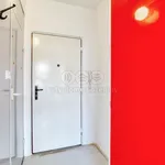 Rent 1 bedroom apartment in Cheb