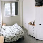 Rent 1 bedroom apartment in South West England