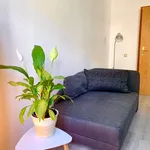 Rent 1 bedroom apartment of 49 m² in Leipzig