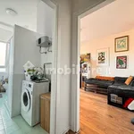 Rent 2 bedroom apartment of 50 m² in Milan