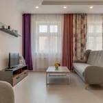 Rent 1 bedroom apartment of 60 m² in Prague