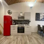 Rent 2 bedroom apartment of 50 m² in Turin