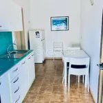 Villa Bifamiliare in in affitto da privato a Centola via Sant'Agata Sud, da privato - TrovaCasa