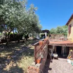 Rent 5 bedroom house of 200 m² in Grottaferrata