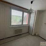 Rent 1 bedroom apartment of 34 m² in Brno