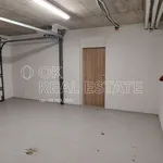 Rent 1 bedroom apartment of 34 m² in Modřice