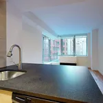 Rent 1 bedroom apartment of 63 m² in New York