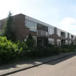 Rent 1 bedroom apartment in Munstergeleen