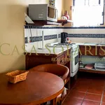 Rent 1 bedroom apartment in Guanajuato