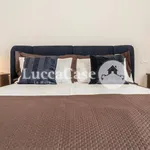 Rent 4 bedroom apartment of 120 m² in Lucca