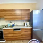 Rent 1 bedroom house in Olomouc