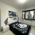 2-room flat via Don Pino Puglisi 2, Bellaria, Peschiera Borromeo