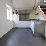 Rent 4 bedroom apartment of 251 m² in Nieuwe Werk