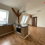 Rent 4 bedroom apartment in Louny