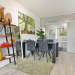 Rent 5 bedroom apartment in Delft