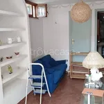 Rent 2 bedroom apartment of 70 m² in Roma