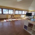 Rent 3 bedroom apartment in Žďár nad Sázavou