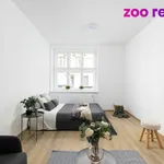 Rent 1 bedroom apartment in Praha 2