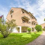 Rent 6 bedroom apartment in Padua
