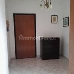 1-bedroom flat via Domenico Petochi, Centro, Grottaferrata