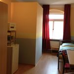 Rent 1 bedroom apartment of 30 m² in Dresden