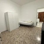 Rent 2 bedroom apartment in San Giovanni