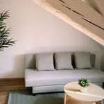 Rent 1 bedroom apartment of 18 m² in Freiburg im Breisgau