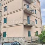 Rent 2 bedroom apartment of 60 m² in Genova