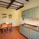 Rent 1 bedroom apartment of 55 m² in Ferrara