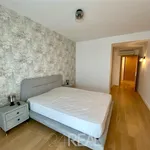 Rent 3 bedroom apartment of 126 m² in Bucharest