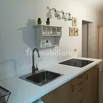 Rent 3 bedroom apartment of 55 m² in Pisa