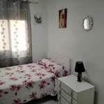 Rent 4 bedroom apartment in Elche