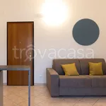 Rent 2 bedroom apartment of 35 m² in Tortoreto