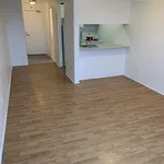  appartement avec 1 chambre(s) en location à Montreal