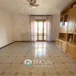 Rent 2 bedroom apartment of 95 m² in pisa