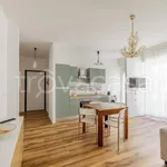 Rent 2 bedroom apartment of 48 m² in Finale Ligure