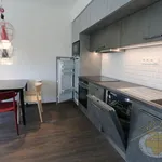 Rent 2 bedroom apartment in Capital City of Prague