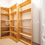 Rent 2 bedroom apartment of 100 m² in Zagreb