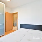 Rent 3 bedroom apartment in Brno