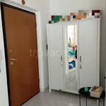 Rent 3 bedroom apartment of 110 m² in Livorno