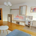 Rent 2 bedroom apartment of 47 m² in Prague