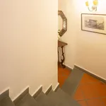 Rent 2 bedroom apartment of 45 m² in Florence