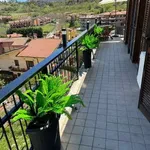 Appartamento arredato con terrazzo Centro