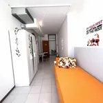 Rent 9 bedroom apartment in Trento