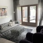 Rent 2 bedroom apartment of 85 m² in Haarlem