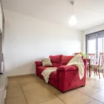 Rent 1 bedroom apartment in Milano